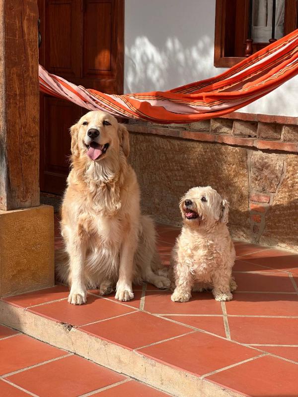 Cabañas Villa Encanto - image 22