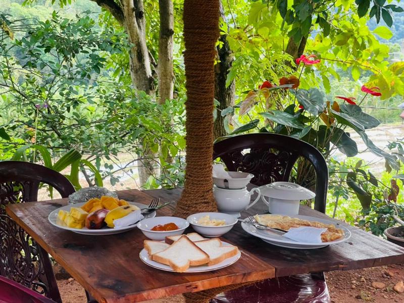 Wow Field Homestay - image 36