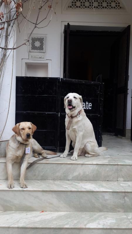 Dia Homestay - image 14