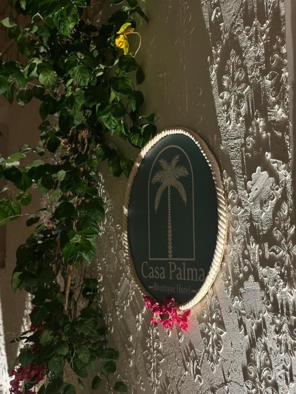 Casa Palma Suites - image 3