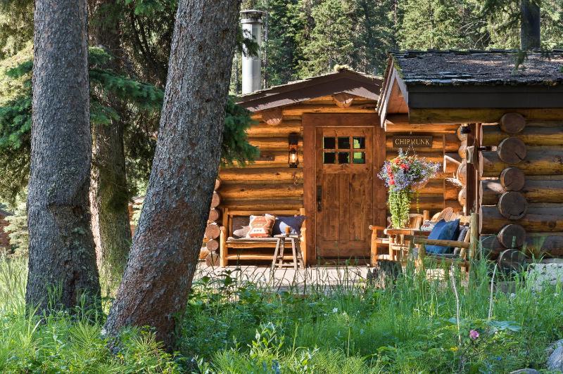 Porcupine Cabin image 2