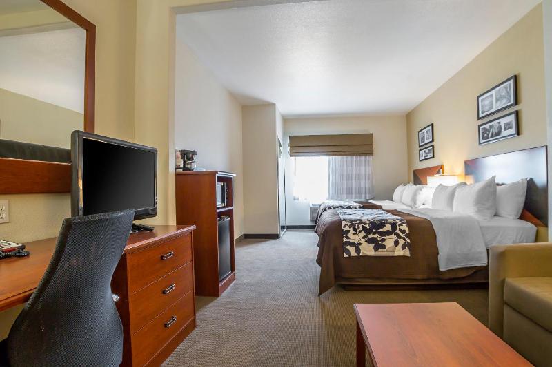 Queen Suite with Sofa Bed - Non-Smoking image 2