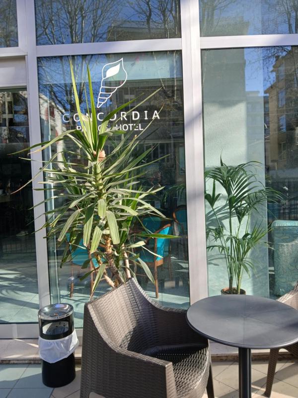 Budget Hotel Concordia - image 8