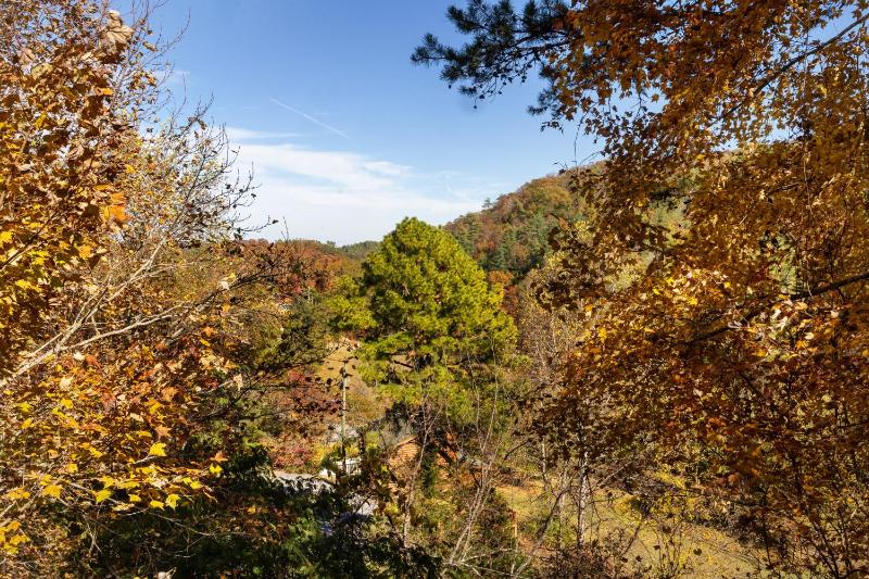 Belle of the Valley - image 39