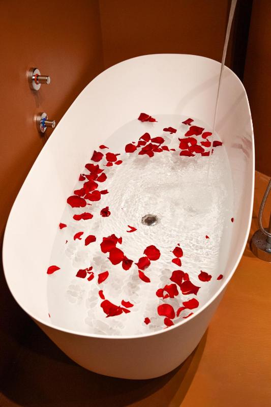 Boutique Hotel OPERA - image 9