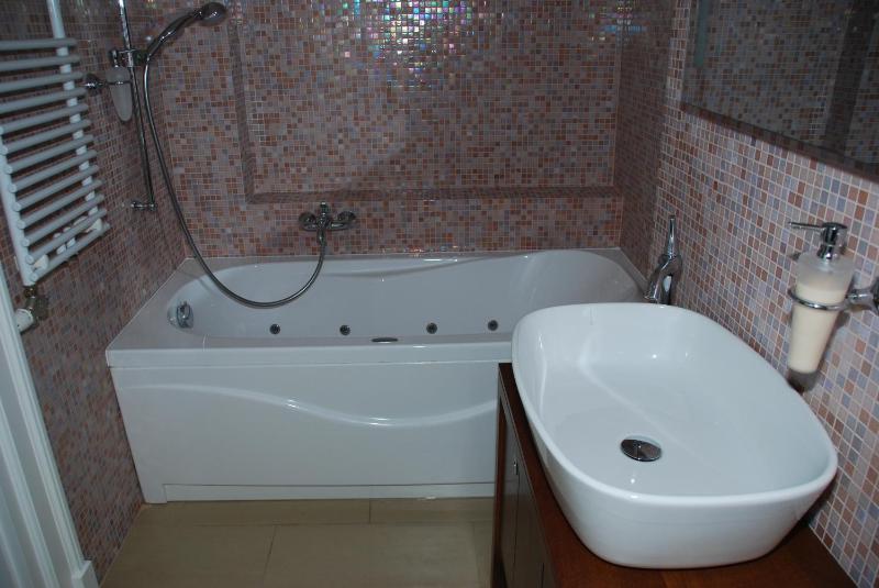 One-Bedroom Suite image 3