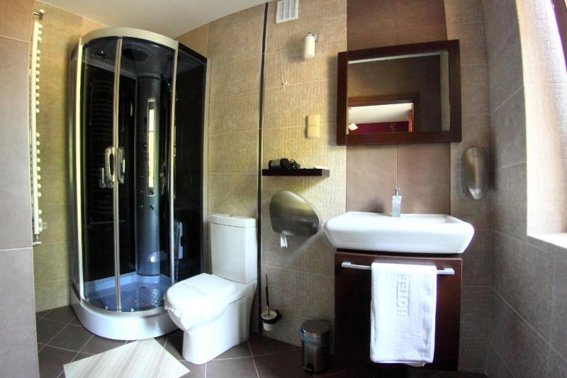 Hotel Mieszko - image 13
