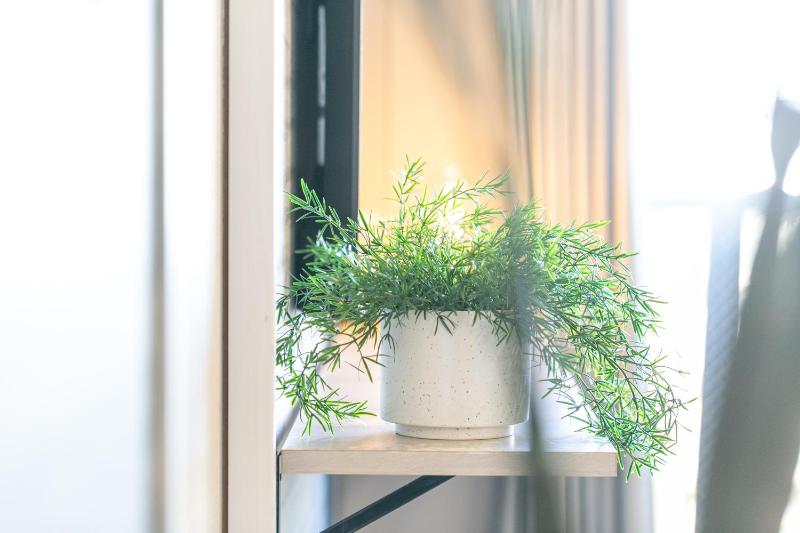 Living like hotel Hakata Premium - image 2