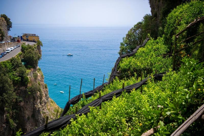 Hotel La Pergola - image 3