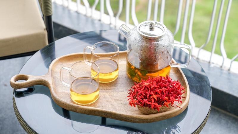 VSR Vriksha Naturopathy Wellness Resort - image 3