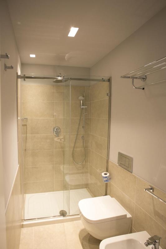 Superior One-Bedroom Apartment with Terrace image 2