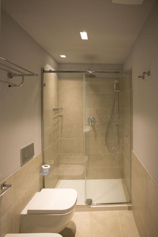 Superior One-Bedroom Apartment with Terrace image 4