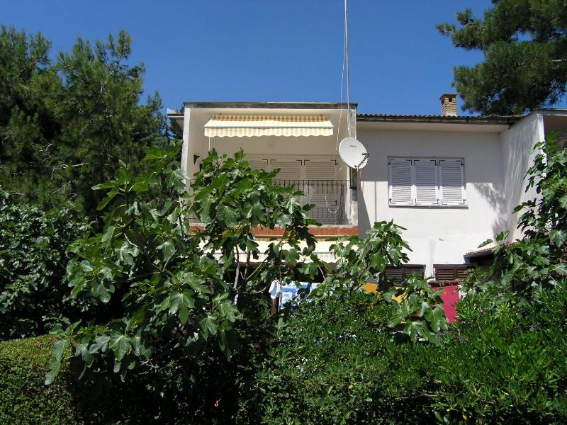 Apartment Damijan - image 17