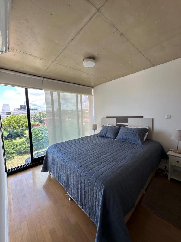 Apartamento rambla 24 mansa - image 13