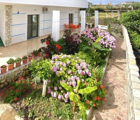 Vila Morena - image 12