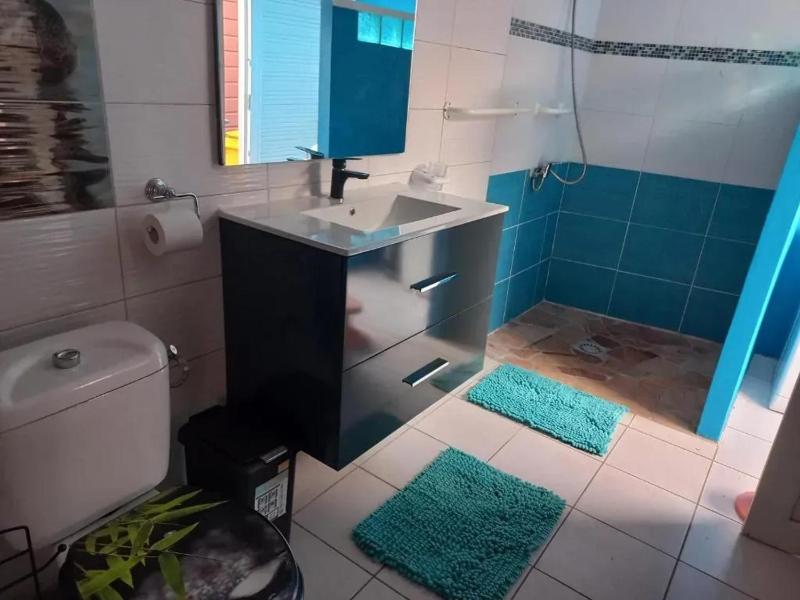 Appartement avec piscine privée à Rivière-Pilote 45 m² - image 8
