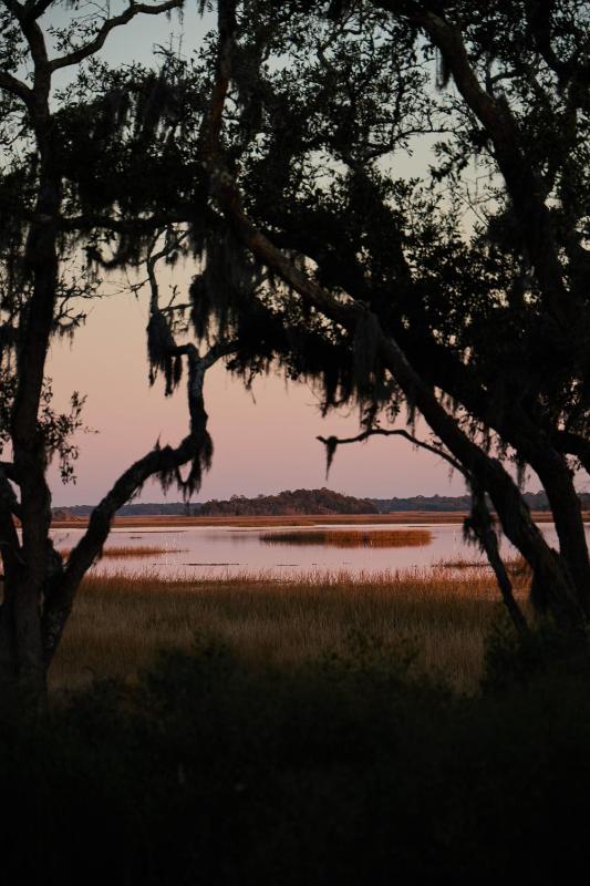 The Dunlin Auberge Collection - image 50