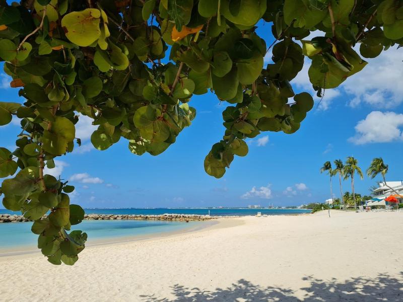 Beautiful Modern Condo on 7 Mile Beach - image 10