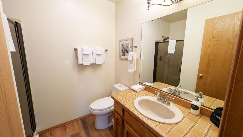 Alpine Hot Tub Retreat with SHARC Access - image 17