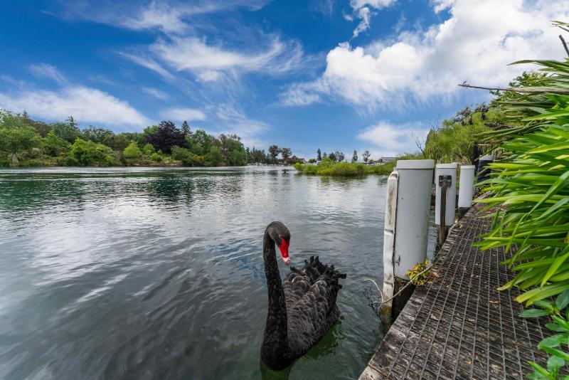 The Pier Taupo - image 40