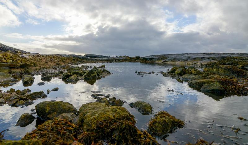 St Thomas Bay - image 7