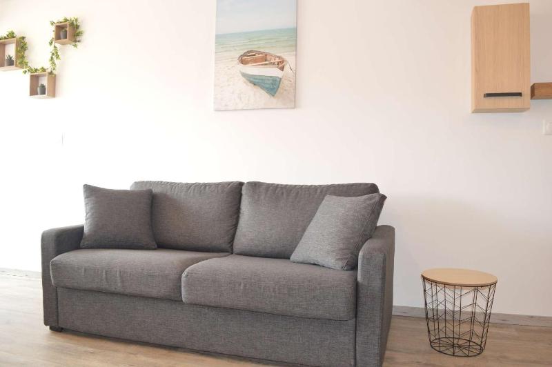 Appartement NP070-E3-732 2 pièces 1 chambre Narbonne Plage - image 24