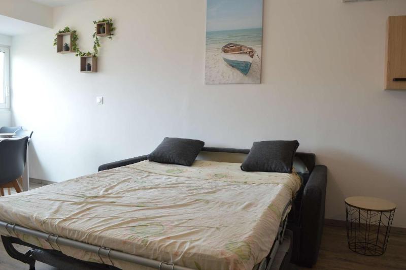 Appartement NP070-E3-732 2 pièces 1 chambre Narbonne Plage - image 13