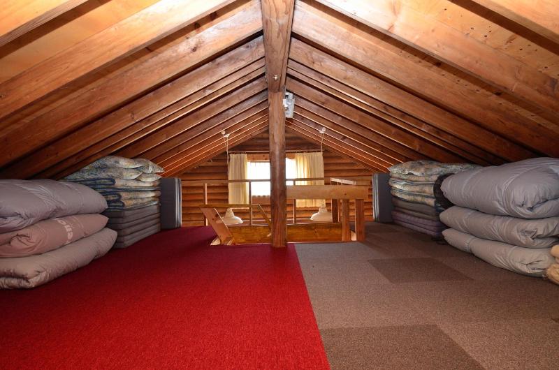 Hakuba Haven Lodge - image 23