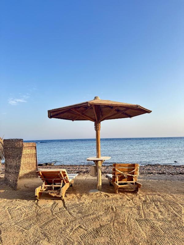 Daniela Diving Resort Dahab - image 35