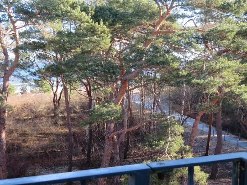 Brise Appartement-Suiten Tannenburg App 429 - image 13