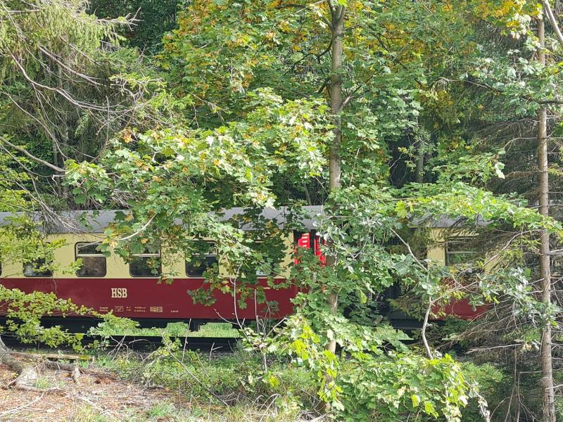 Ferienwohnung am Wald mit Garten - image 22