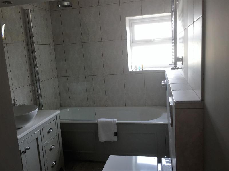 Deluxe One-Bedroom Apartment with Balcony  image 1
