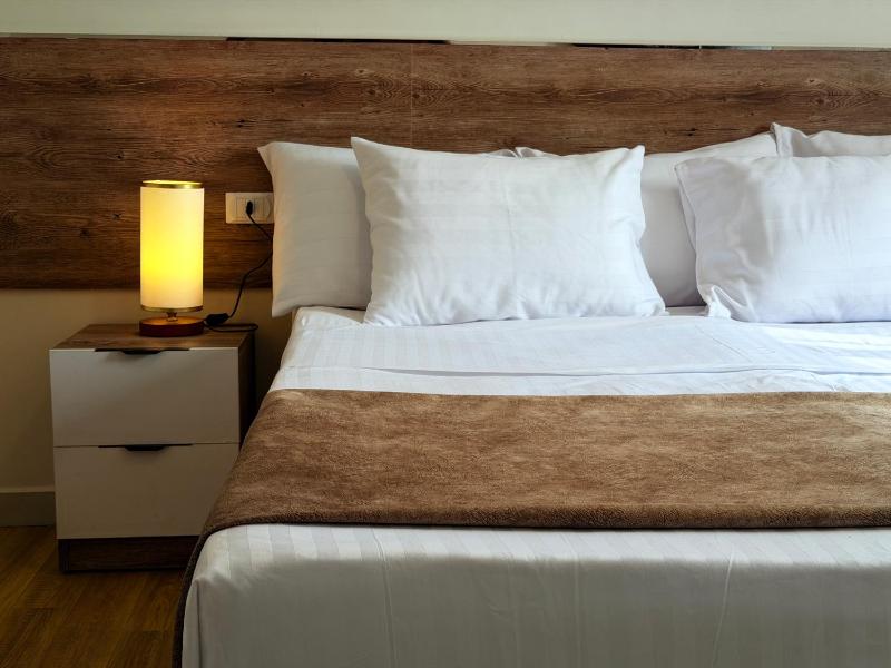 Eco green pyramids hotel - image 8