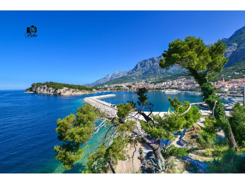 Apartments Elda - image 9