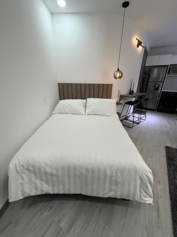 Moderno Estudio Quito - image 11