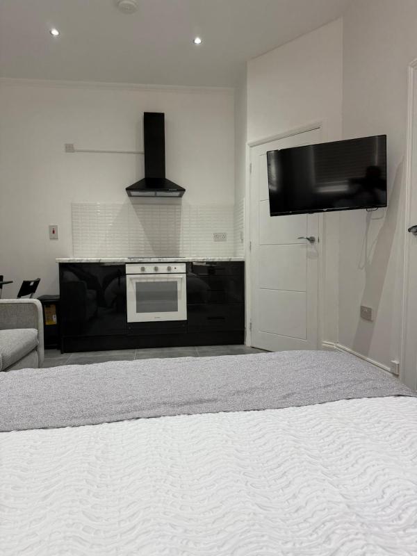Modern Luxe Studio Flat - image 4