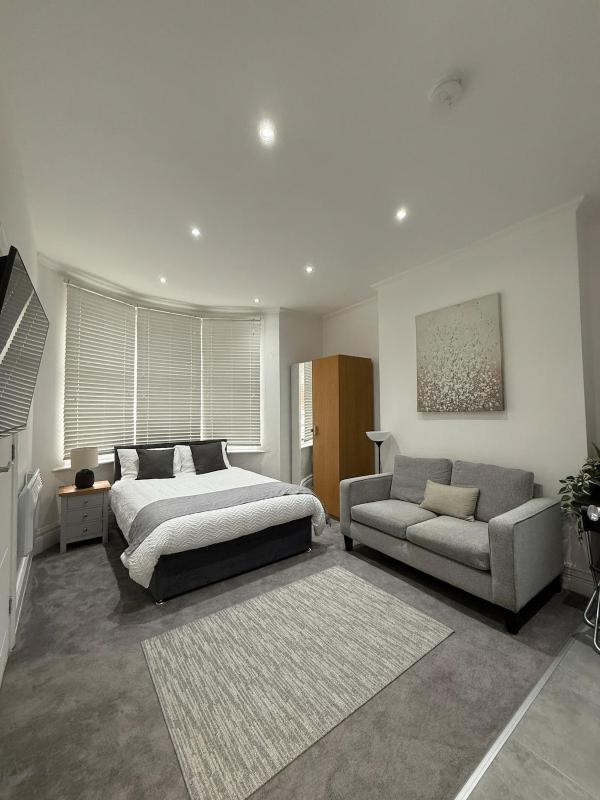 Modern Luxe Studio Flat - image 1