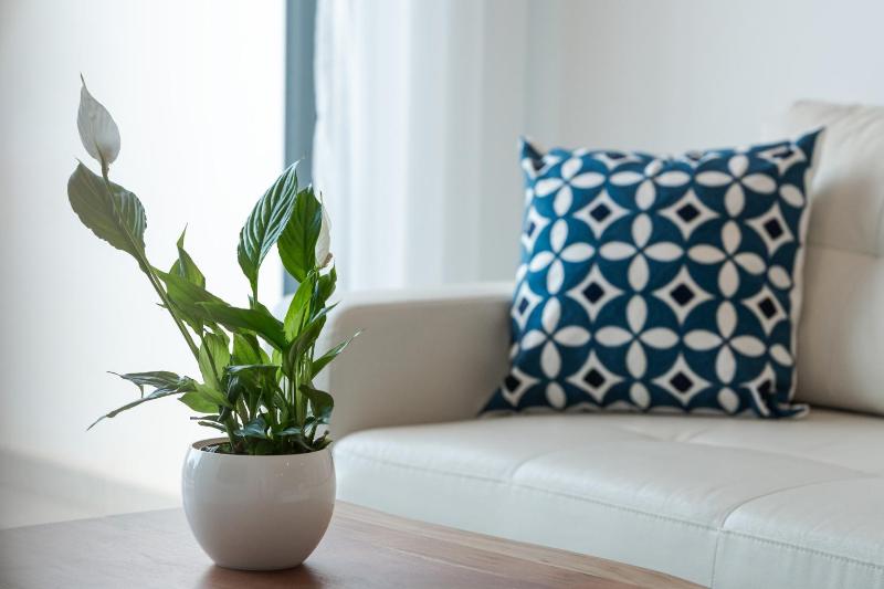 Modern Sea View Apartment - image 18