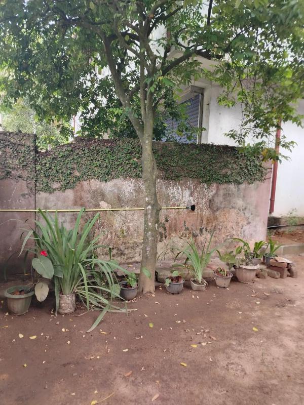 Hiriketiya Cozy Villa - image 15