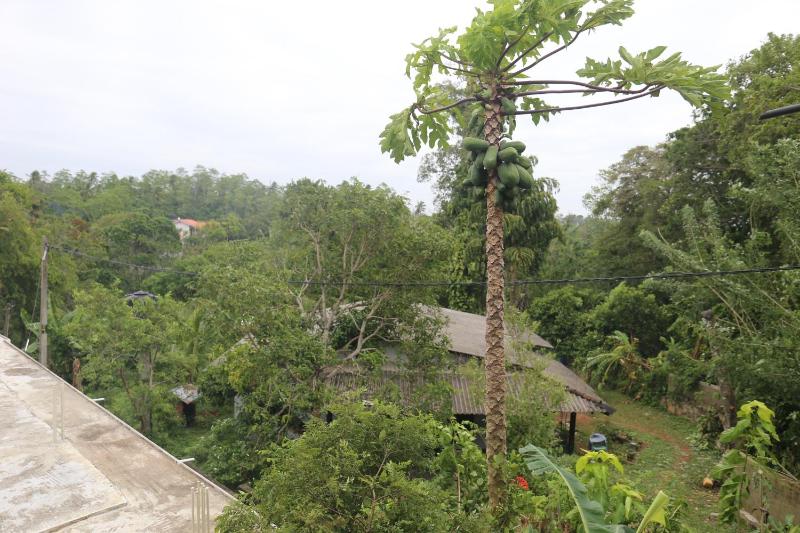 Elena Villa 7 - image 8