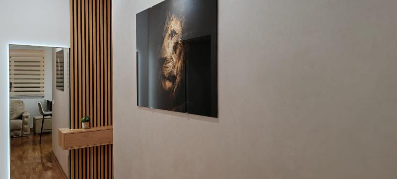 Royal lux apartman Beograd - image 16