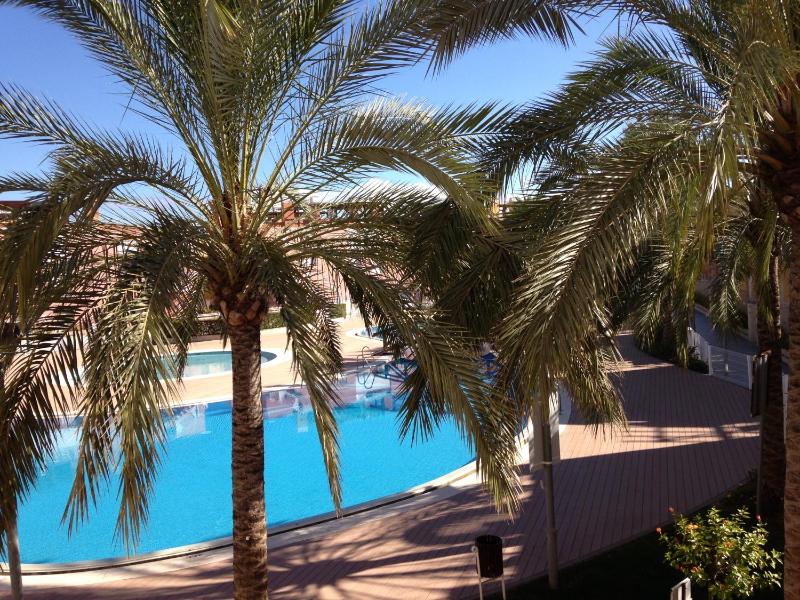 Albacora Vistas Piscina - image 8