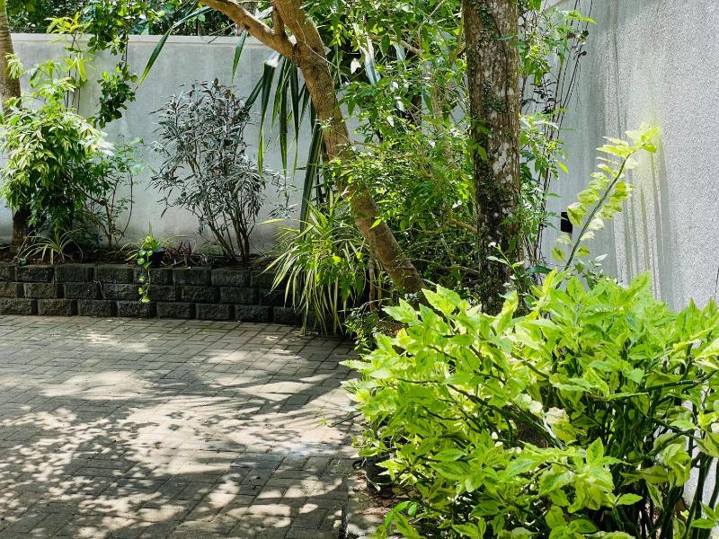 Ivy Villa - Tangalle - image 19