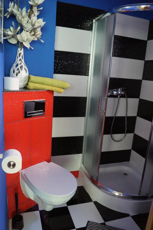 One-Bedroom Apartment with Terrace image 4