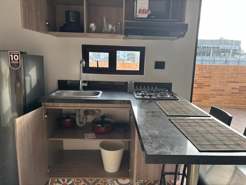 Deluxe Suite with Terrace - image 4