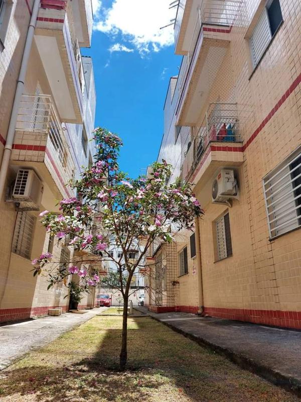 Apê no Recanto do Vovô - image 8