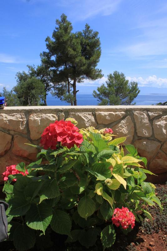 Apartments with a parking space Mali Losinj (Losinj) - 8026 - image 33