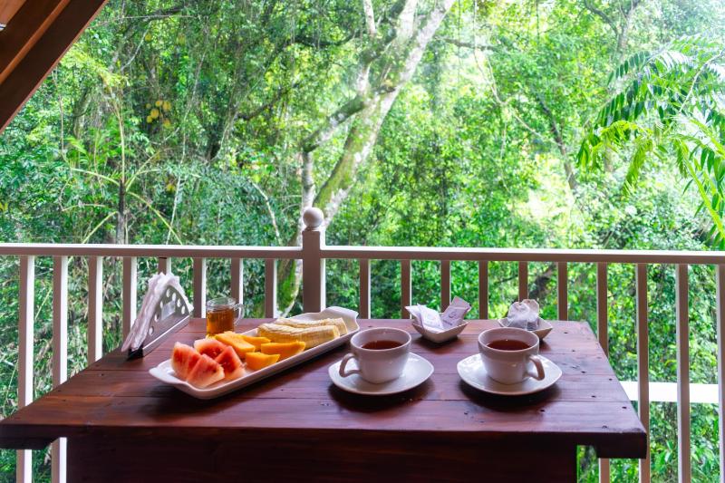 Green Forest Cabanas - Ella - image 18