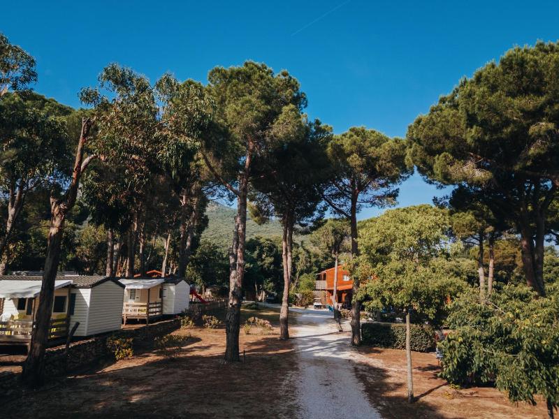 Camping le Rancho - image 28