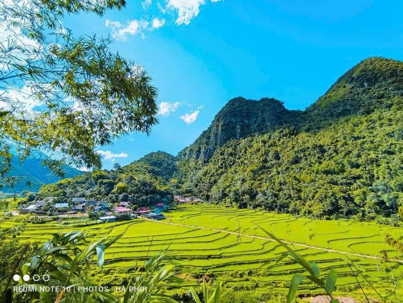 Homestay wiu field - image 9